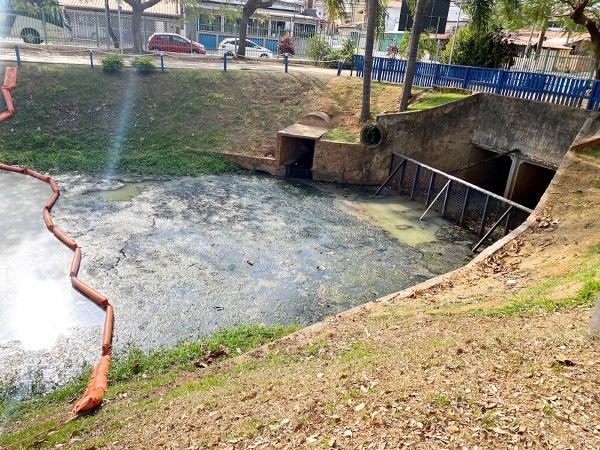 Despejo irregular atinge novamente a lagoa do Observatório Ambiental