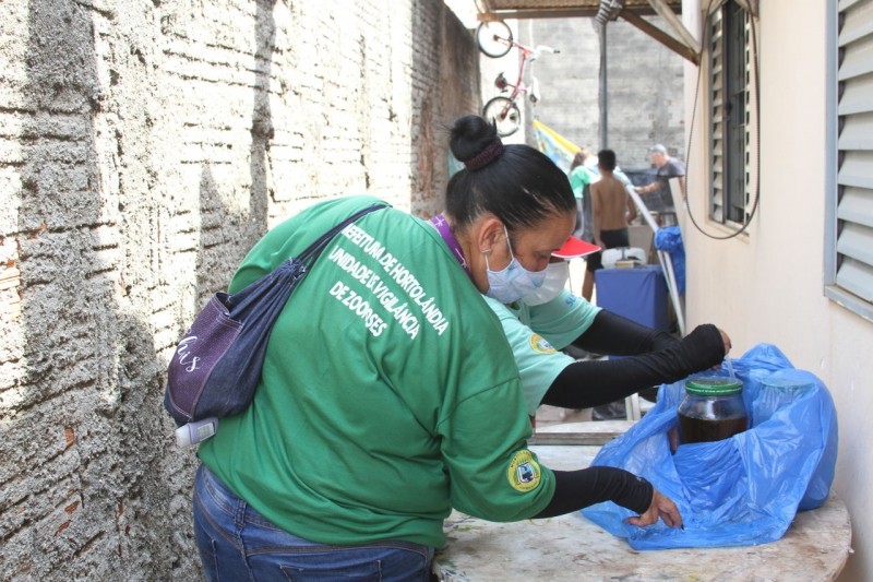 Hortolândia continua com trabalho de contagem de larvas de Aedes aegypti