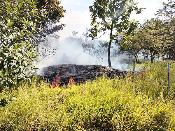 Hortolândia entra em estado de emergência por alto risco de incêndio, avisa Defesa Civil