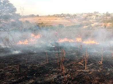 Cidades da região estão sob forte ameaça de incêndios, confirma Governo do Estado