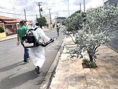 Dengue mata mais duas pessoas na região e mortes pela doença somam 28